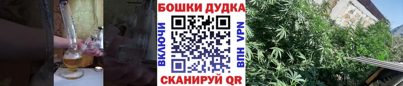Купить закладку Горно-Алтайск Галлюциногенные грибы ГАШ МАРИХУАНА