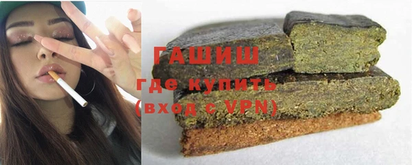 дмт Бородино