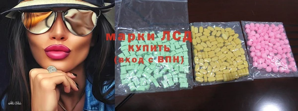 дмт Бородино