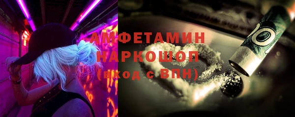 дмт Бородино
