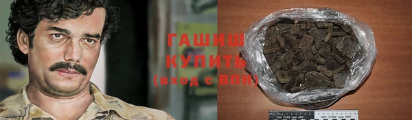 дмт Бородино