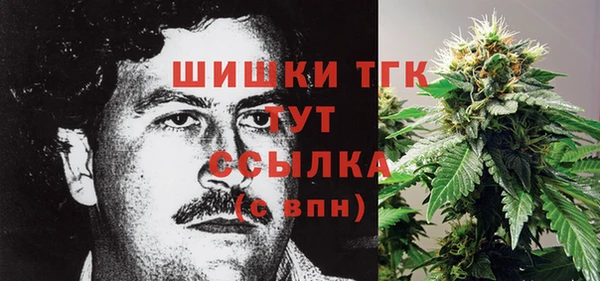 дмт Бородино