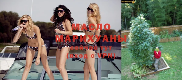 дмт Бородино