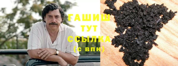 дмт Бородино