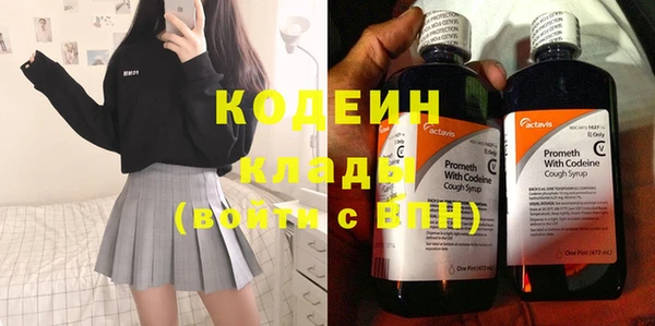 дмт Бородино
