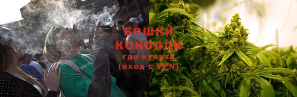 дмт Бородино