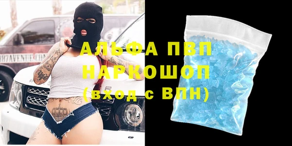 дмт Бородино