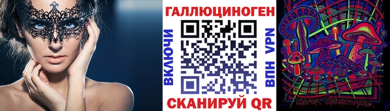 Псилоцибиновые грибы Cubensis  Горно-Алтайск 
